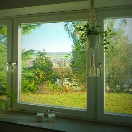 Panoramablick Vom Rodenberg Appartement *